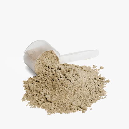 Vanilla Plant Protein