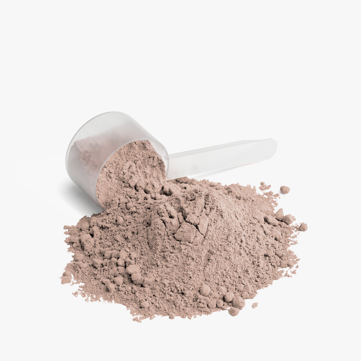 Chocolate Plant Protein